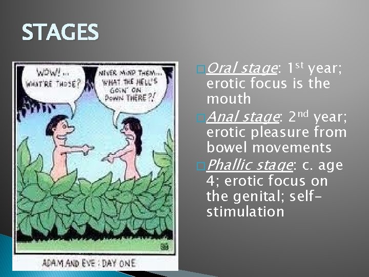 STAGES � Oral stage: 1 st year; erotic focus is the mouth � Anal