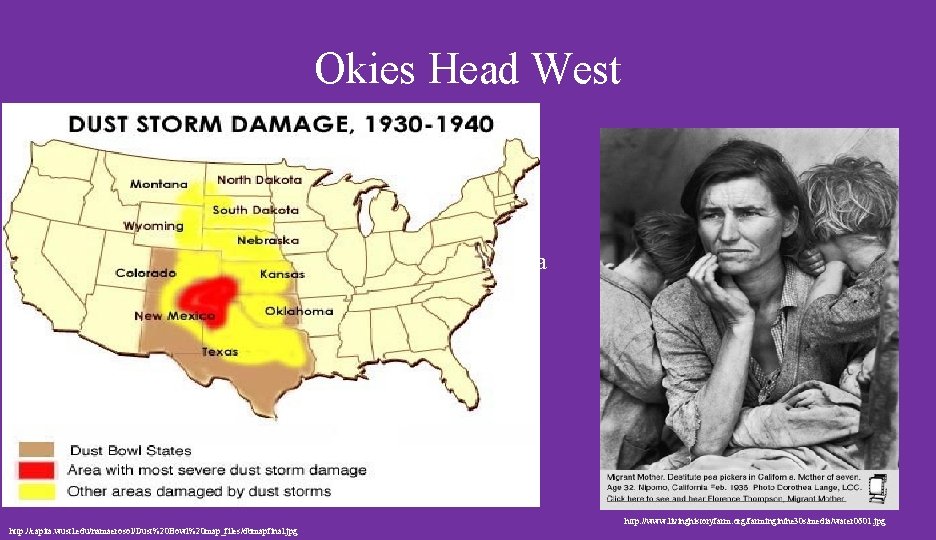 Okies Head West o In some areas of the Dust Bowl area as many