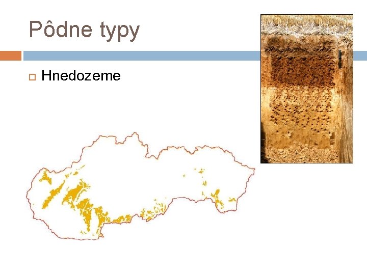 Pôdne typy Hnedozeme 