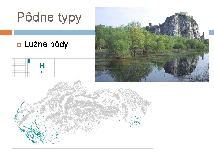 Pôdne typy Lužné pôdy 