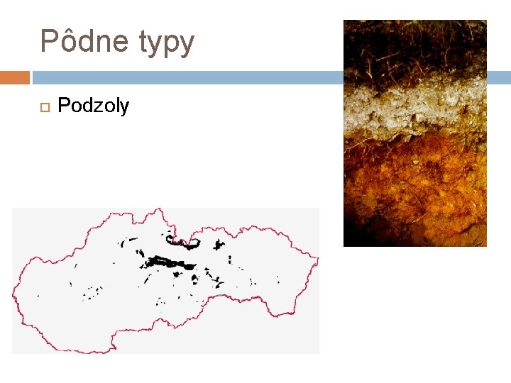 Pôdne typy Podzoly 