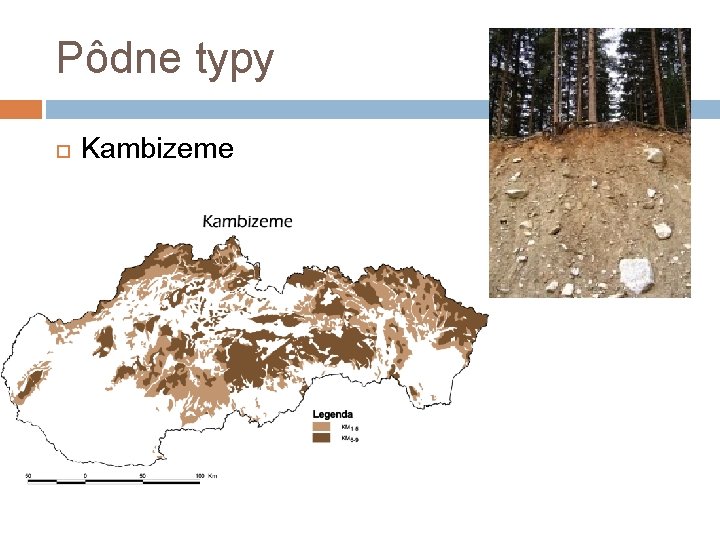 Pôdne typy Kambizeme 