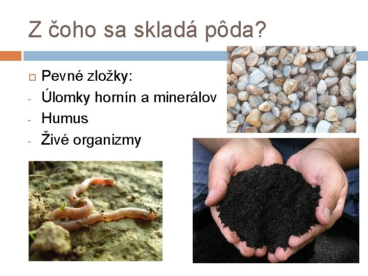 Z čoho sa skladá pôda? - Pevné zložky: Úlomky hornín a minerálov Humus Živé