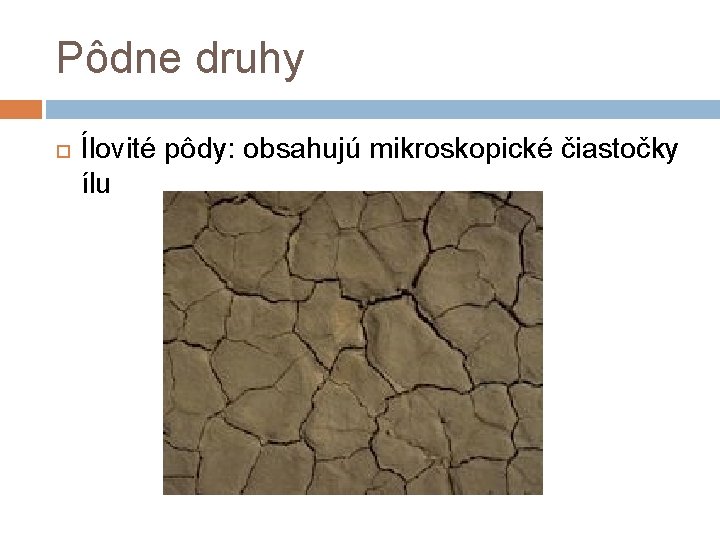 Pôdne druhy Ílovité pôdy: obsahujú mikroskopické čiastočky ílu 