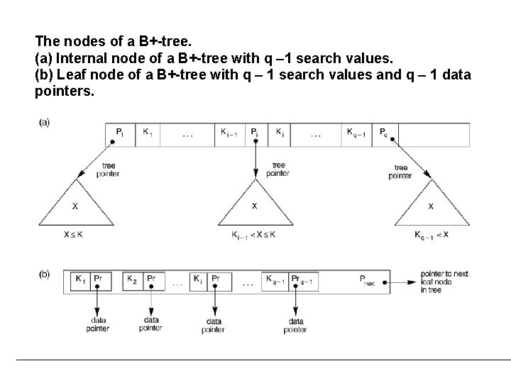 The nodes of a B+-tree. (a) Internal node of a B+-tree with q –