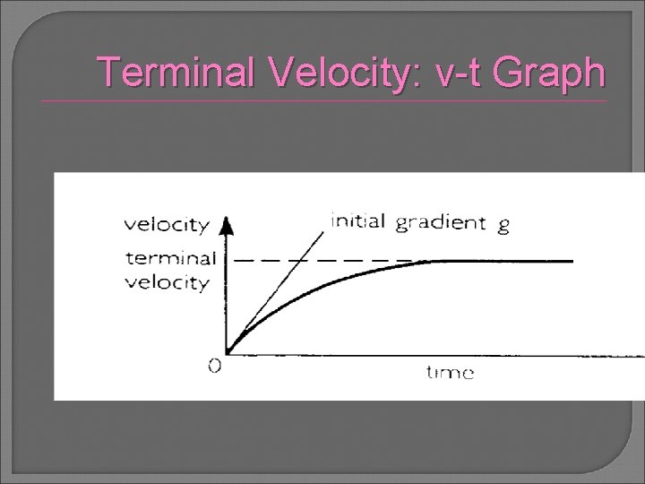 Terminal Velocity: v-t Graph 