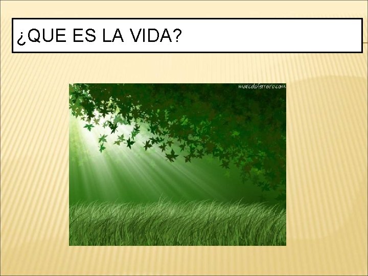 ¿QUE ES LA VIDA? 