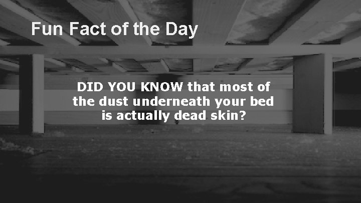 Fun Fact of the Day DID YOU KNOW that most of the dust underneath