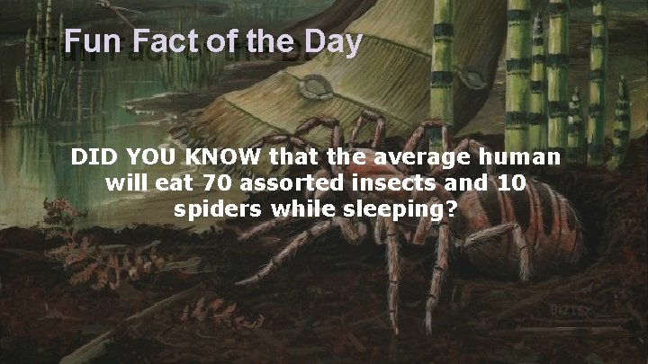 Fun. Factofofthe the. Day Fun DID YOU KNOW that the average human will eat