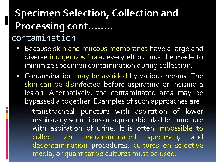 Specimen Selection, Collection and Processing cont……. . contamination Because skin and mucous membranes have