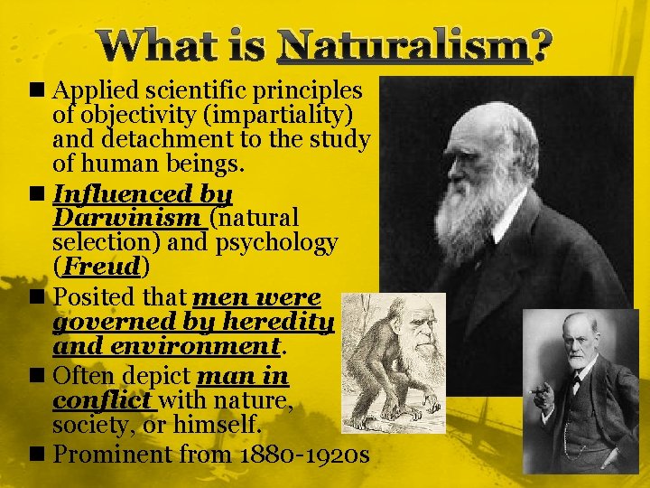 What is Naturalism? n Applied scientific principles of objectivity (impartiality) and detachment to the