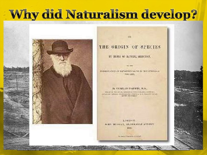 Why did Naturalism develop? 