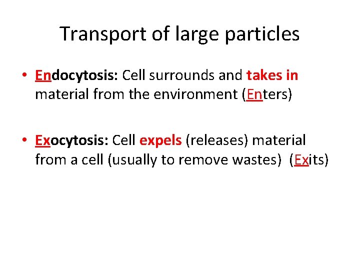 Transport of large particles • Endocytosis: Cell surrounds and takes in material from the