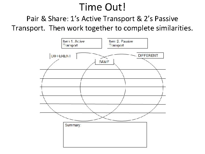 Time Out! Pair & Share: 1’s Active Transport & 2’s Passive Transport. Then work