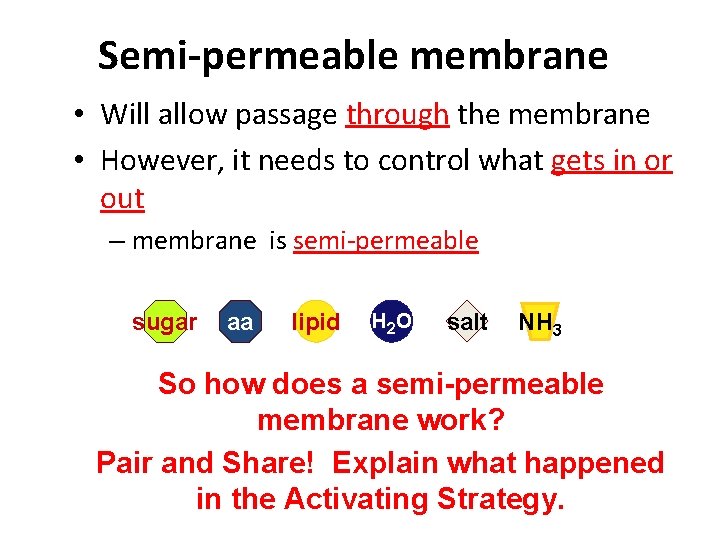 Semi-permeable membrane • Will allow passage through the membrane • However, it needs to