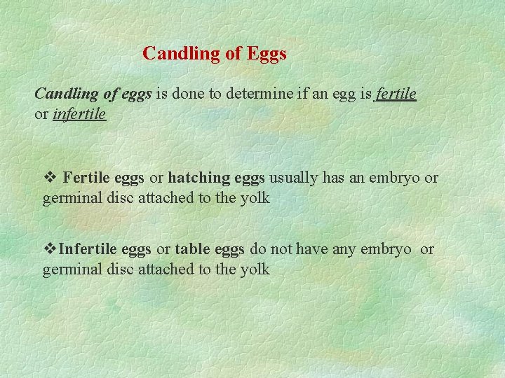 Candling of Eggs Candling of eggs is done to determine if an egg is
