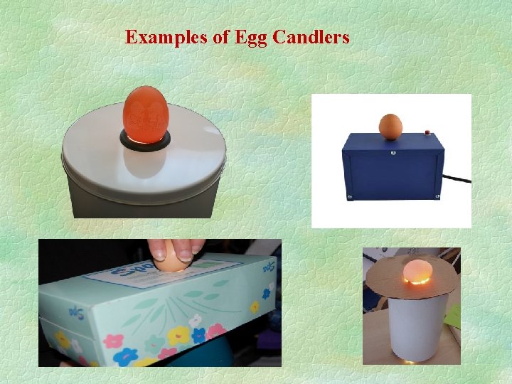 Examples of Egg Candlers 