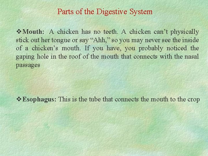 Parts of the Digestive System v. Mouth: A chicken has no teeth. A chicken