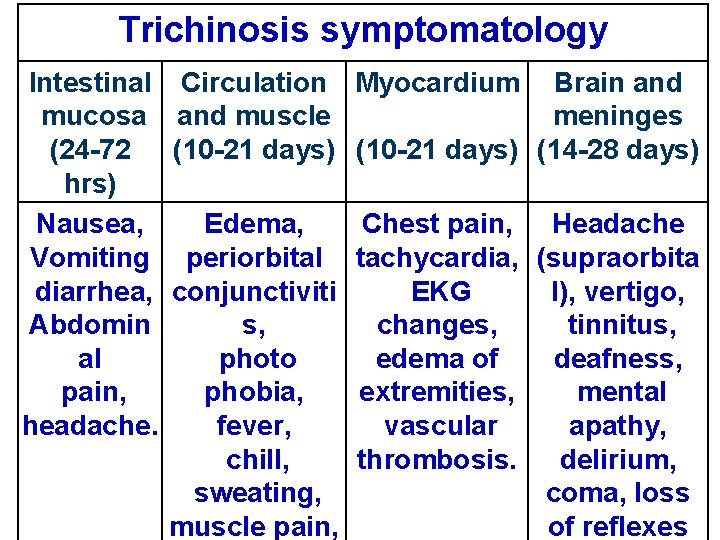 Trichinosis symptomatology Intestinal mucosa (24 -72 hrs) Nausea, Vomiting diarrhea, Abdomin al pain, headache.