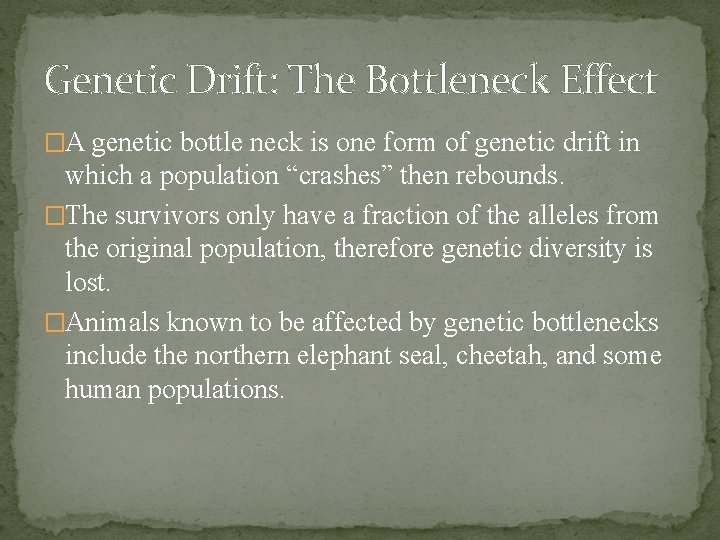Genetic Drift: The Bottleneck Effect �A genetic bottle neck is one form of genetic Genetic Drift: The Bottleneck Effect �A genetic bottle neck is one form of genetic