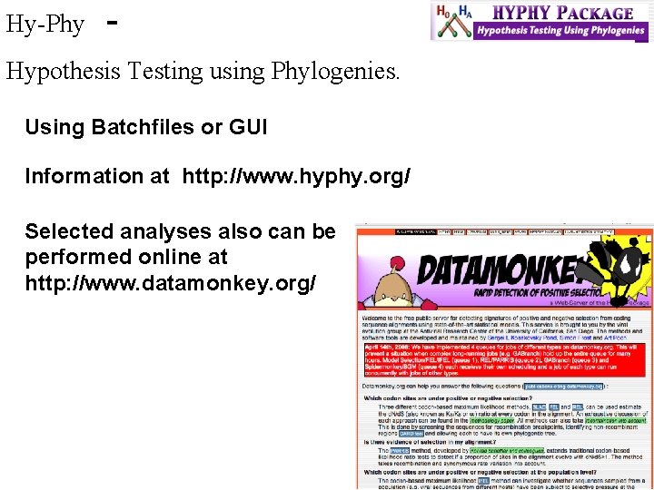Hy-Phy - Hypothesis Testing using Phylogenies. Using Batchfiles or GUI Information at http: //www.