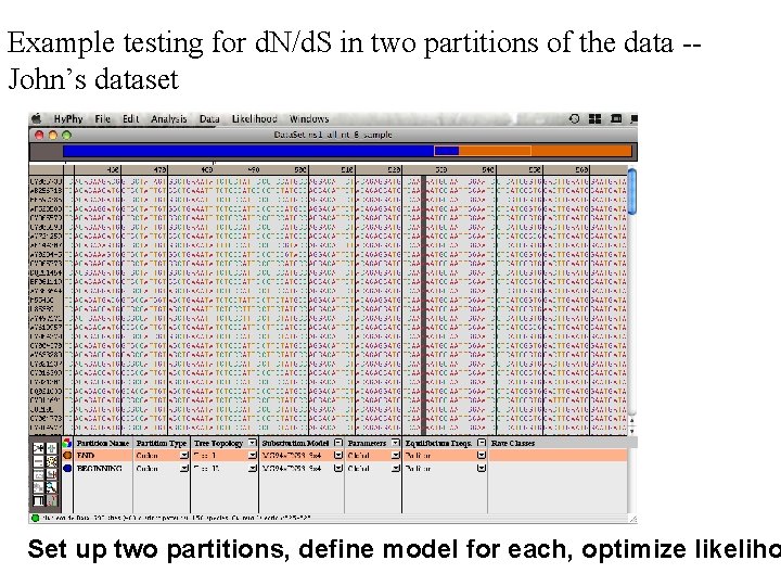 Example testing for d. N/d. S in two partitions of the data -John’s dataset