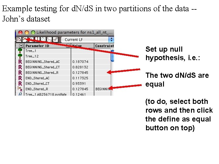 Example testing for d. N/d. S in two partitions of the data -John’s dataset