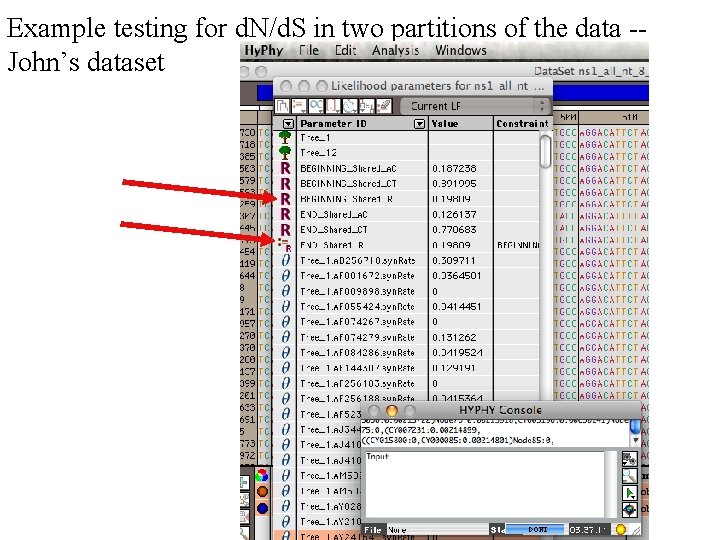Example testing for d. N/d. S in two partitions of the data -John’s dataset