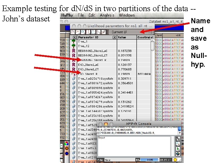 Example testing for d. N/d. S in two partitions of the data -John’s dataset