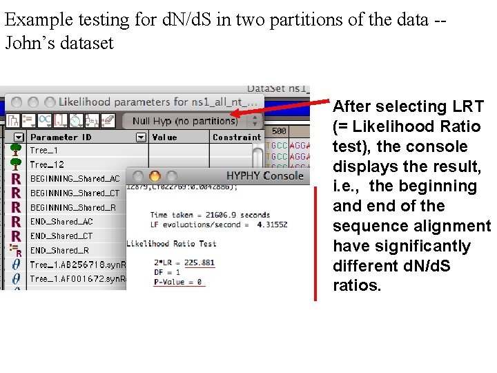 Example testing for d. N/d. S in two partitions of the data -John’s dataset
