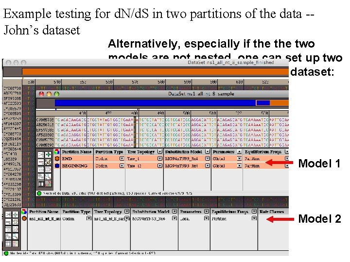 Example testing for d. N/d. S in two partitions of the data -John’s dataset