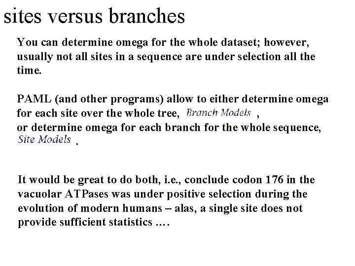 sites versus branches You can determine omega for the whole dataset; however, usually not