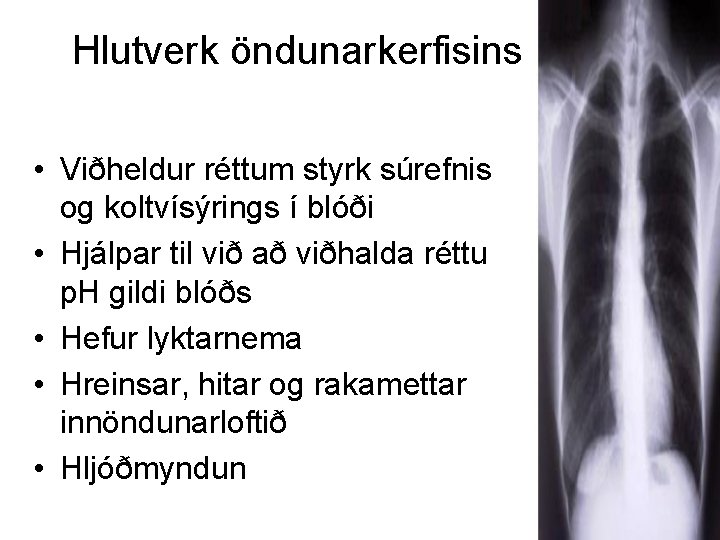 Hlutverk öndunarkerfisins • Viðheldur réttum styrk súrefnis og koltvísýrings í blóði • Hjálpar til