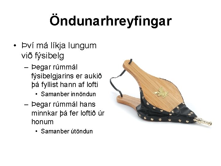 Öndunarhreyfingar • Því má líkja lungum við fýsibelg – Þegar rúmmál fýsibelgjarins er aukið