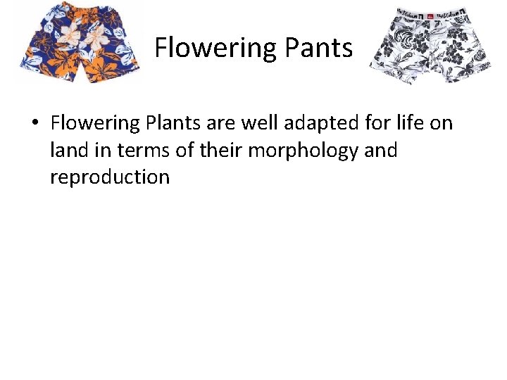 Flowering Pants • Flowering Plants are well adapted for life on land in terms