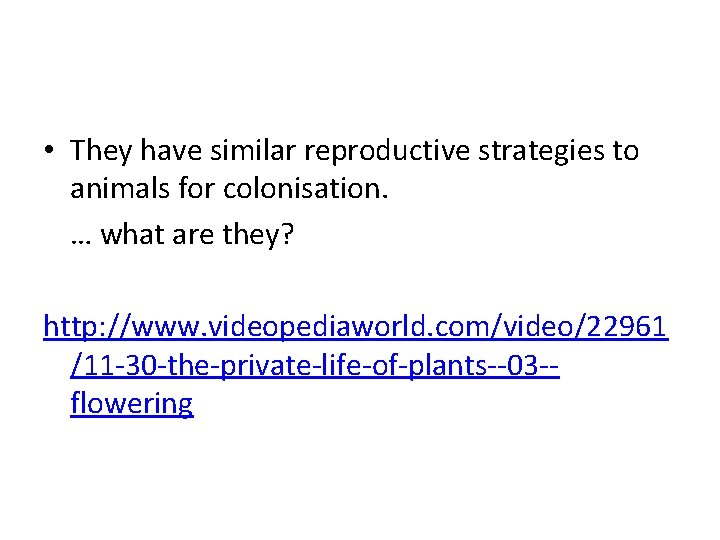  • They have similar reproductive strategies to animals for colonisation. … what are
