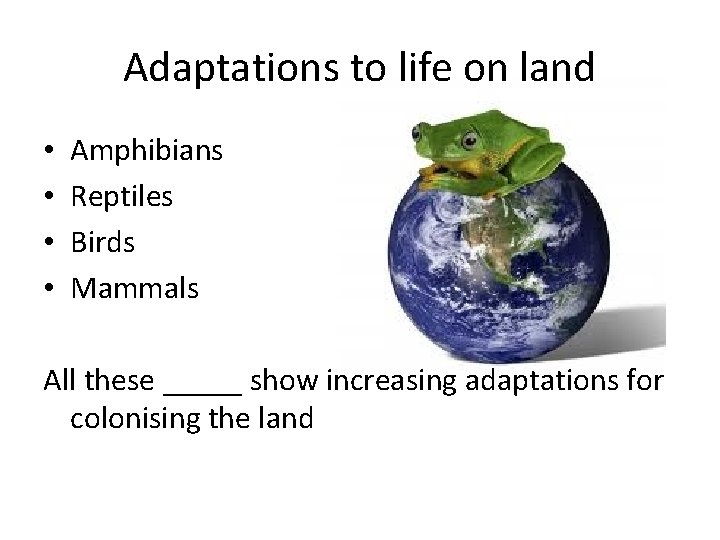 Adaptations to life on land • • Amphibians Reptiles Birds Mammals All these _____