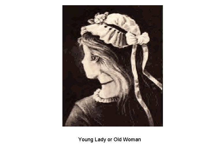 Young Lady or Old Woman 
