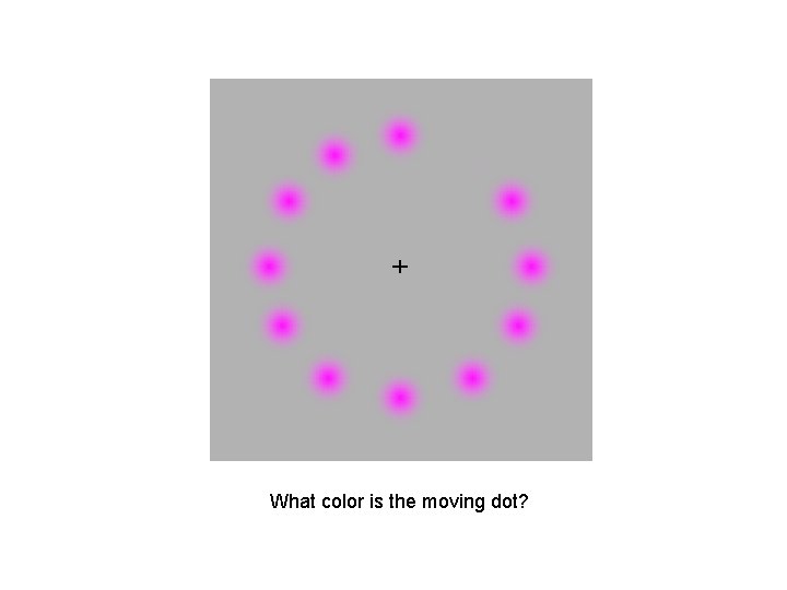 What color is the moving dot? 