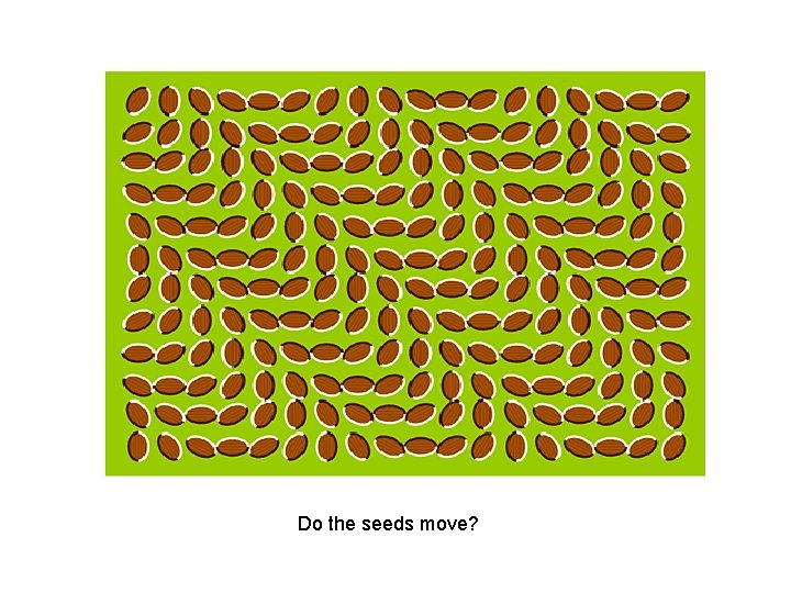 Do the seeds move? 
