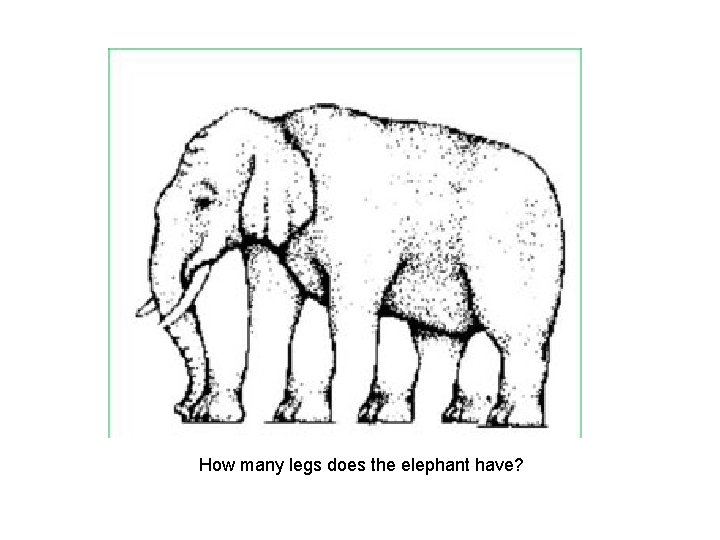 How many legs does the elephant have? 