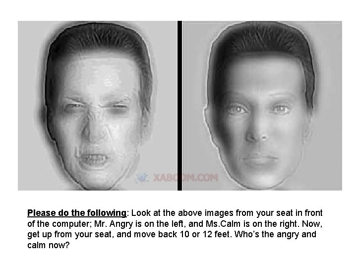 Please do the following: Look at the above images from your seat in front