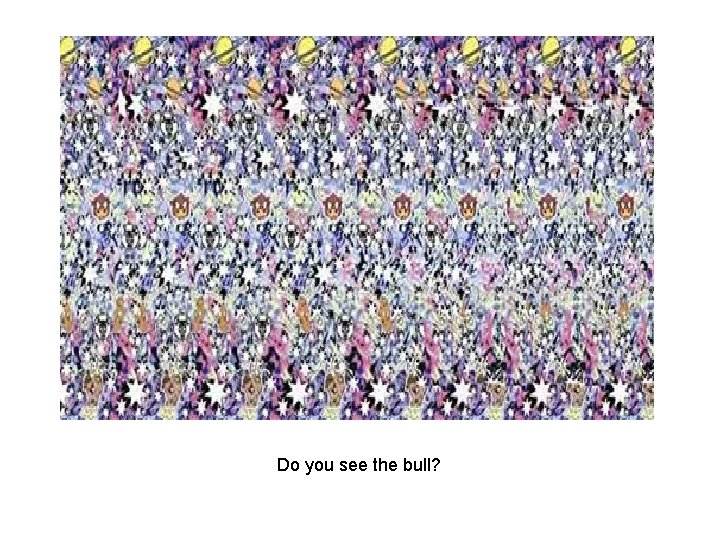 Do you see the bull? 