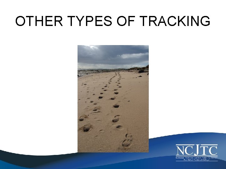 OTHER TYPES OF TRACKING 