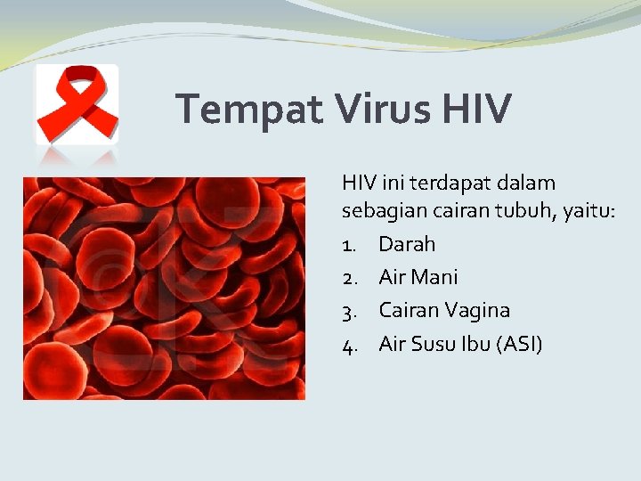 Tempat Virus HIV ini terdapat dalam sebagian cairan tubuh, yaitu: 1. Darah 2. Air