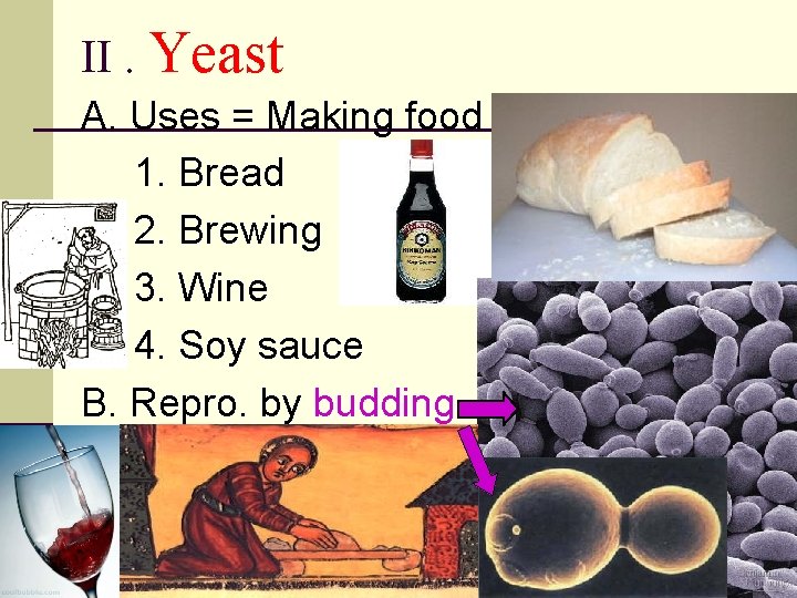 II. Yeast A. Uses = Making food 1. Bread 2. Brewing 3. Wine 4.