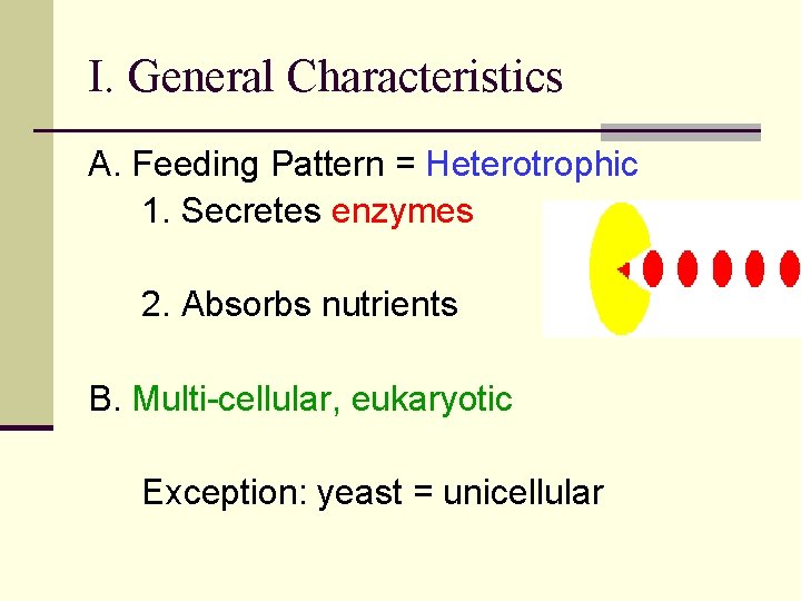 I. General Characteristics A. Feeding Pattern = Heterotrophic 1. Secretes enzymes 2. Absorbs nutrients