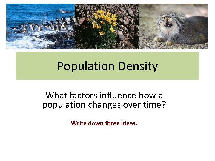 Population Density What factors influence how a population changes over time? Write down three