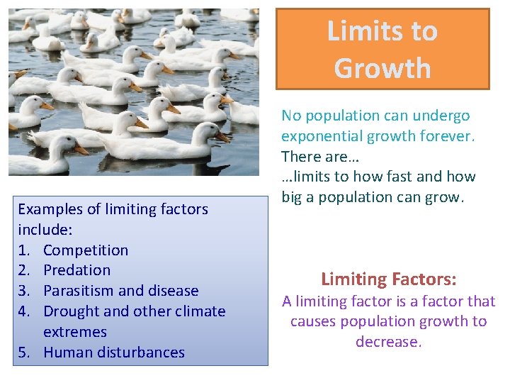 Limits to Growth Examples of limiting factors include: 1. Competition 2. Predation 3. Parasitism