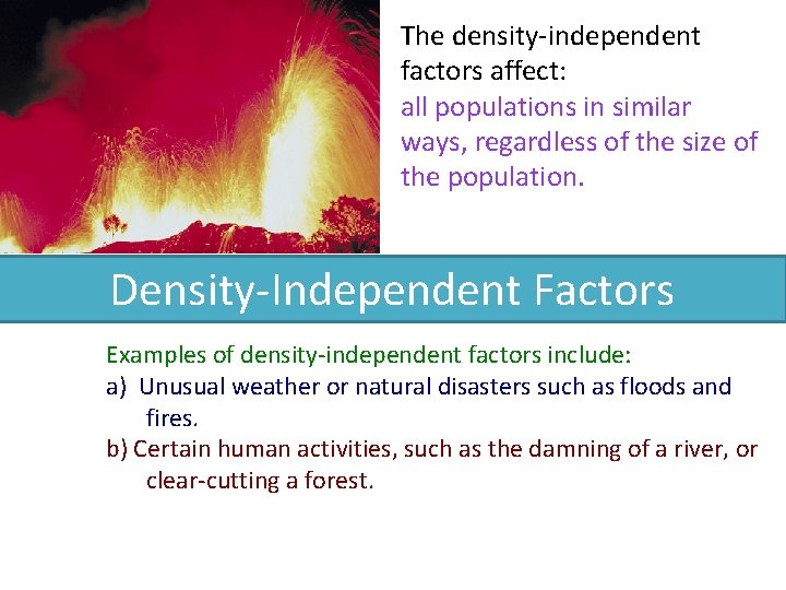 The density-independent factors affect: all populations in similar ways, regardless of the size of